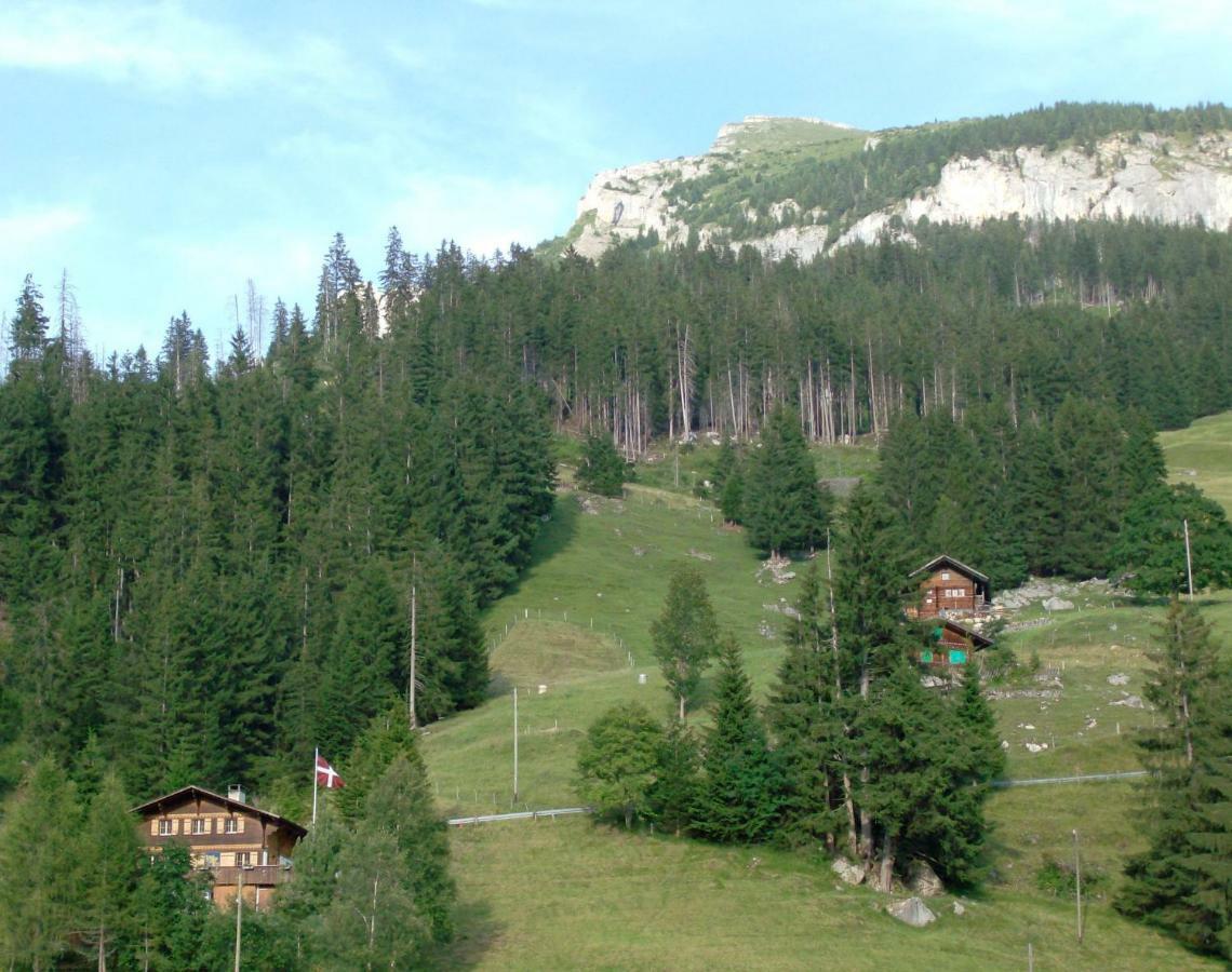 Chalet Weidli Achseten Экстерьер фото